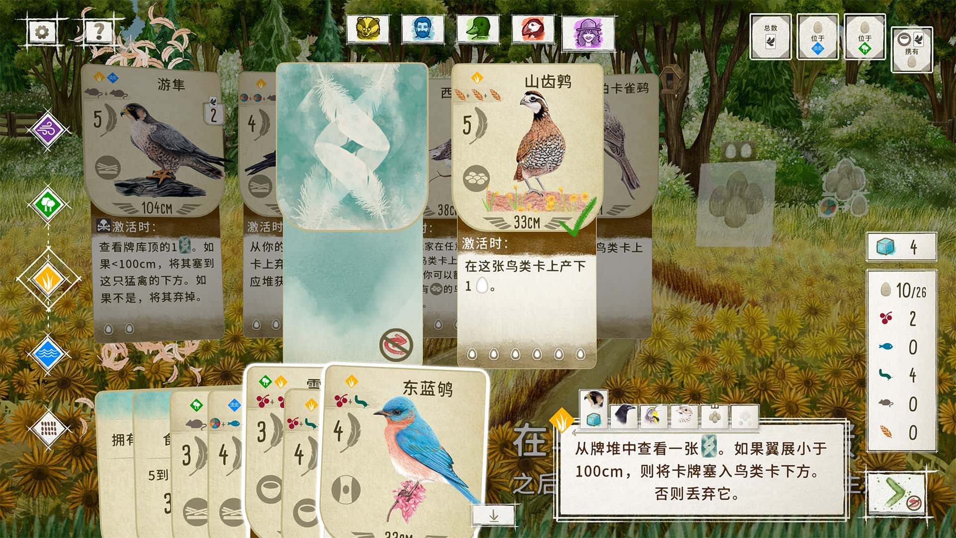 视觉数据5